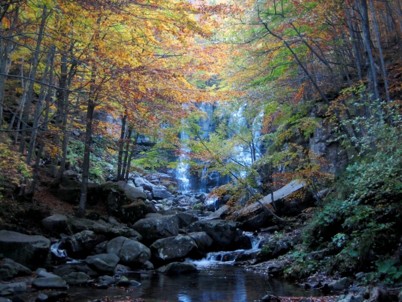  Image name: 13-cascate del dardagna.jpg 
 width: 402 pixel 
 height: 302 pixel 
 Size: 55946 bytes 
 Click to enlarge 